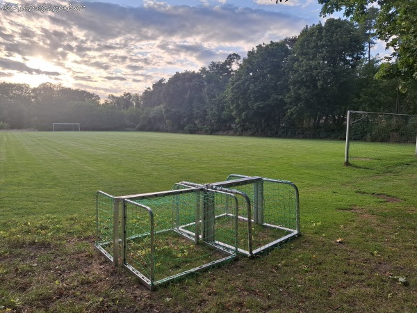 Sportanlage Am Wildpark Platz 2 - Sommerhausen
