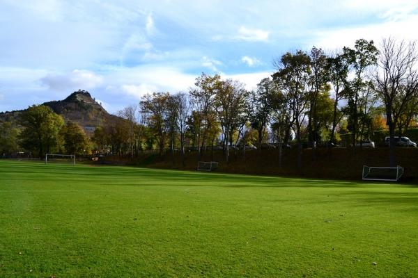 Sportanlage am Jenzig Platz 3 - Jena-Wenigenjena