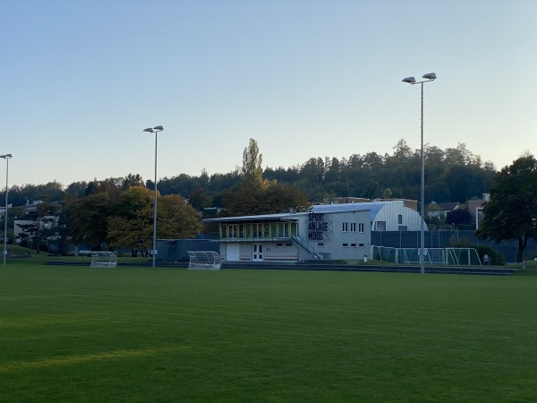 Sportplatz Moos - Rüschlikon