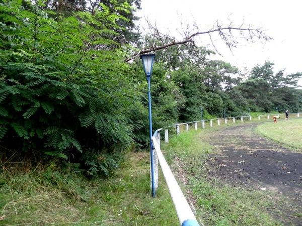 Elbesportpark - Dessau-Roßlau