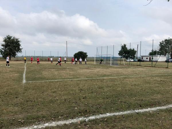 Boisko w Goliszowie - Goliszów