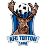 Wappen AFC Totton  82903