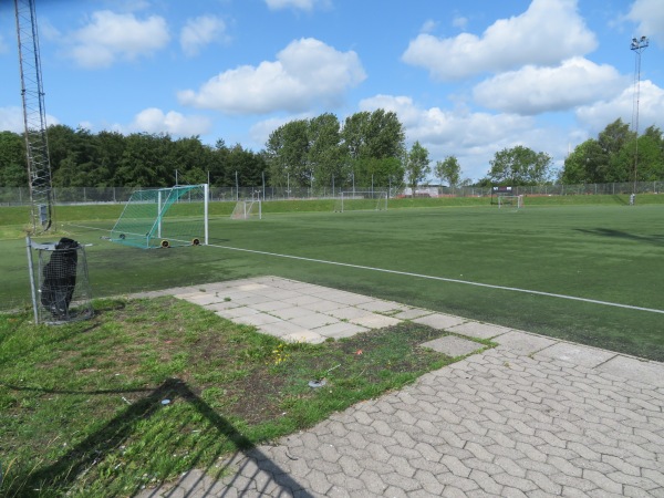 B.1909s Anlæg Kunstgraes - Odense NØ