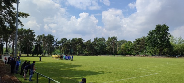 Sportanlage Waldstraße - Waldplatz - Eisenhüttenstadt