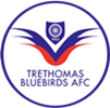Wappen Trethomas Bluebirds FC