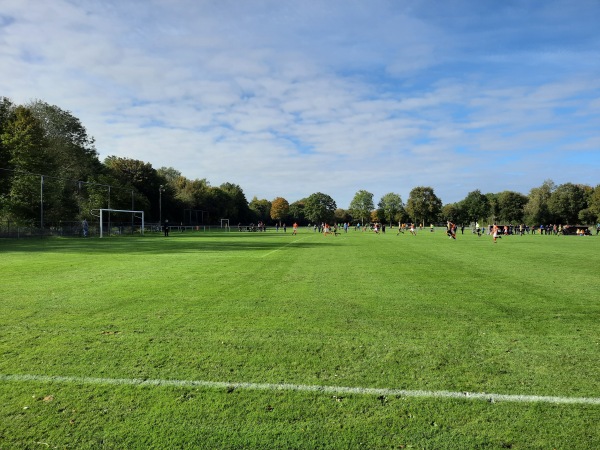 Sportpark De Langeleegte veld 6 - Veendam