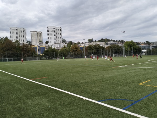 Centre Sportif de Vidy terrain annexe 5 - Lausanne