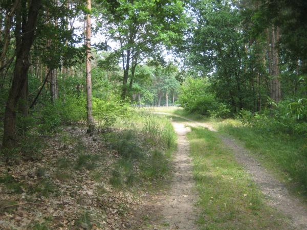 Sportplatz Born - Westheide-Born