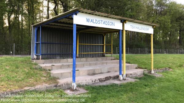 Waldstadion - Salzgitter-Hallendorf