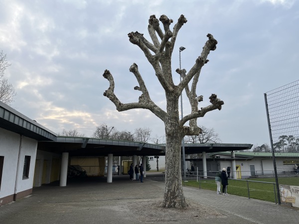 Waldseestadion Nebenplatz 1 - Forst/Baden