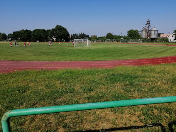 Stadion Im. 700 - Lecia Pszczółek - Pszczółki