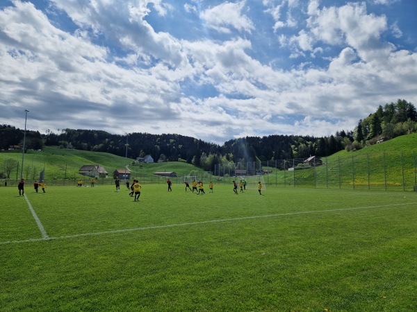 Sportplatz Wies - Heiden