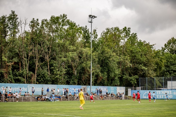 Trainingsgelände Grünwalder Straße Platz 5 - München-Giesing