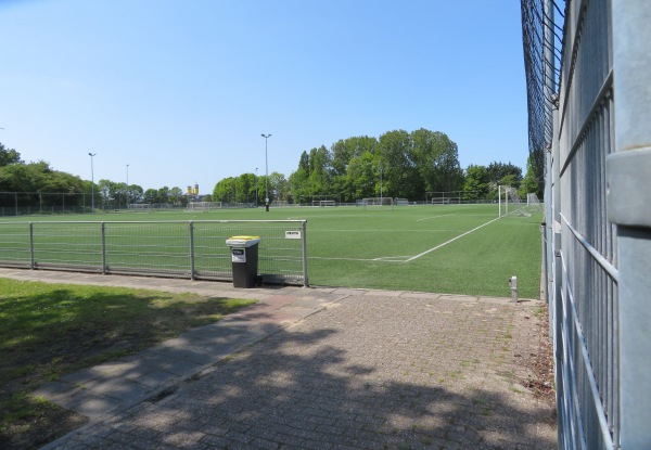 Sportpark Middelmors veld 3 - Rijnsburg