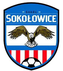 Wappen Sokół Sokołowice  125654