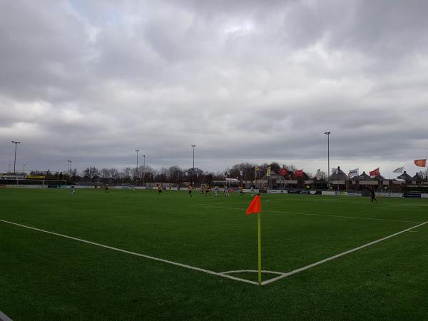 Sportpark Roodemolen veld 1 - Teylingen-Sassenheim
