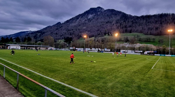 Stade des Auges - Grandvillard