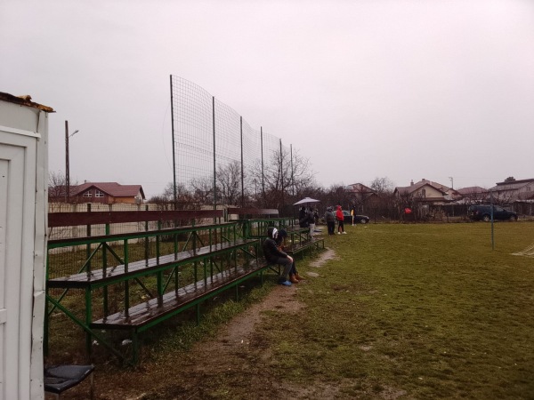 Arena Bulls - Preajba