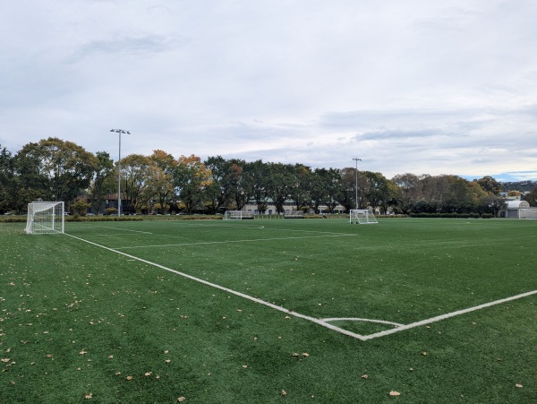 Logan Park Field A1 - Dunedin