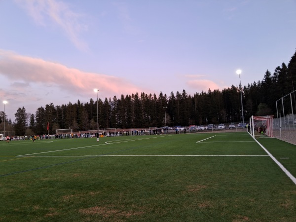 HSS Hydraulik Sportpark Platz 2 - Königsfeld/Schwarzwald