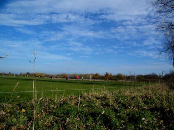 Sportanlage Ottostraße Platz 4 - Halle/Saale