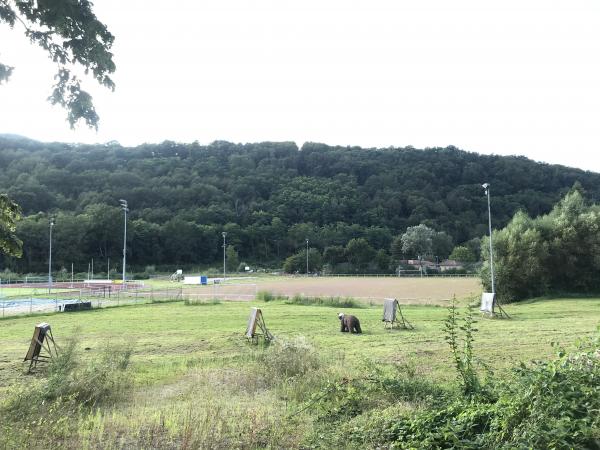 Trifelsstadion Nebenplatz - Annweiler/Trifels