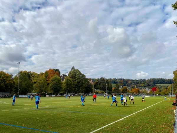 Sportplatz Bühl - Schaffhausen