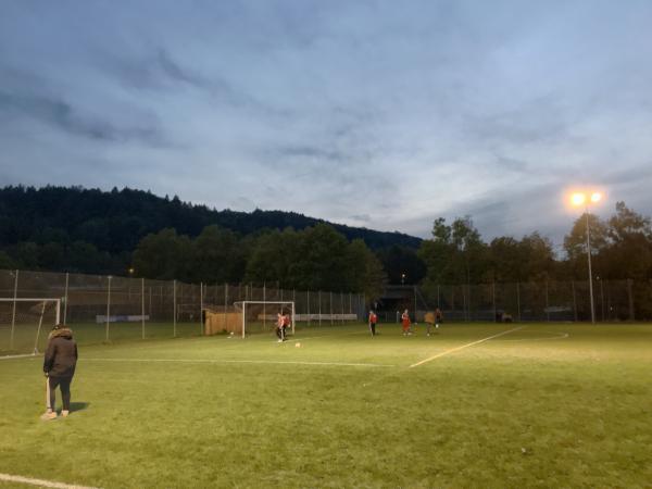 Rot-Weiß-Sportanlage an der Isar Platz 2 - Bad Tölz