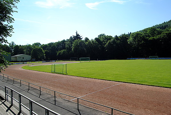 Stadion im Hammergrund - Ilmenau