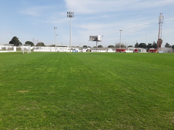 Parc Hassen Belkhodja D - Tunis