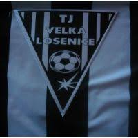 Wappen TJ Velká Losenice