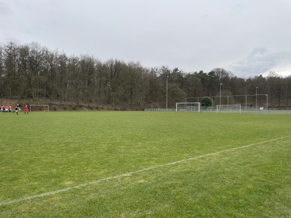 Sportpark De Pinkenberg veld 5-DVOV - Rozendaal