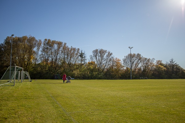 Waldsportanlage Thomas Sommer Platz 2 - Obermichelbach