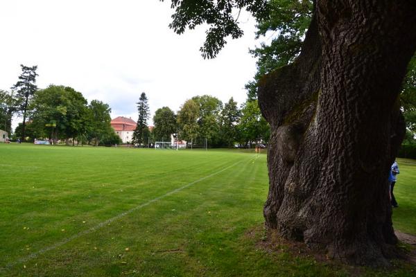 Sportplatz im Schloßpark - Faulenrost