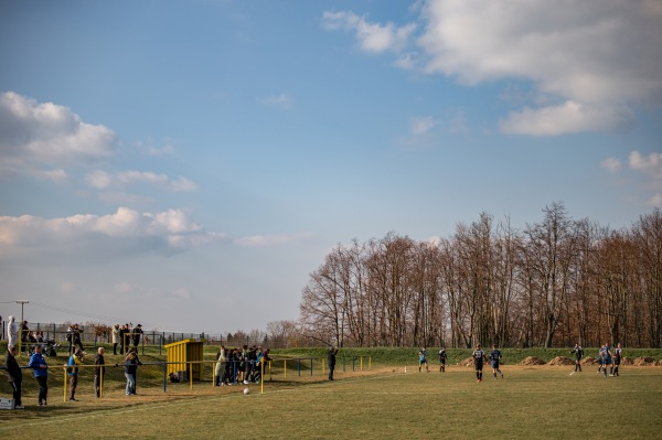 Parkstadion - Hirschstein-Neuhirschstein