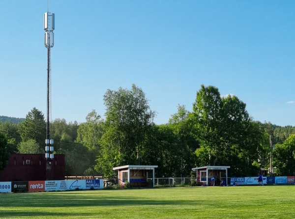 Bjerke stadion gress - Maura