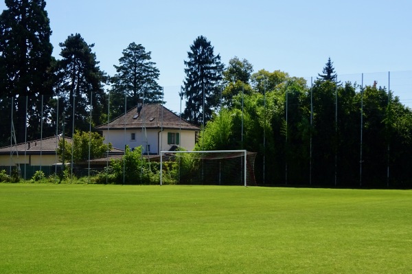 Stade de Balexert terrain 2 - Châtelaine