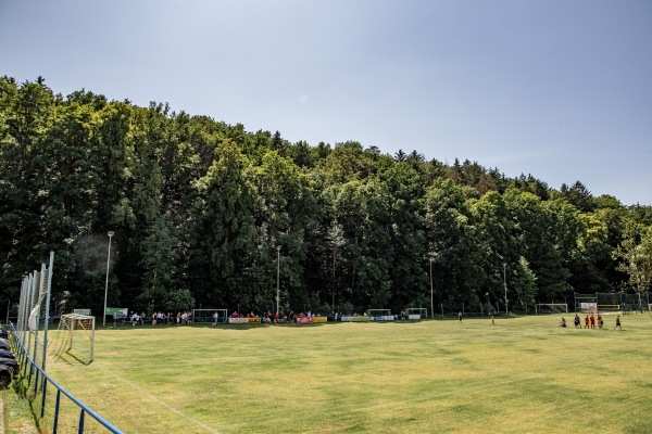 Sportplatz an der Lindenallee - Wildenfels