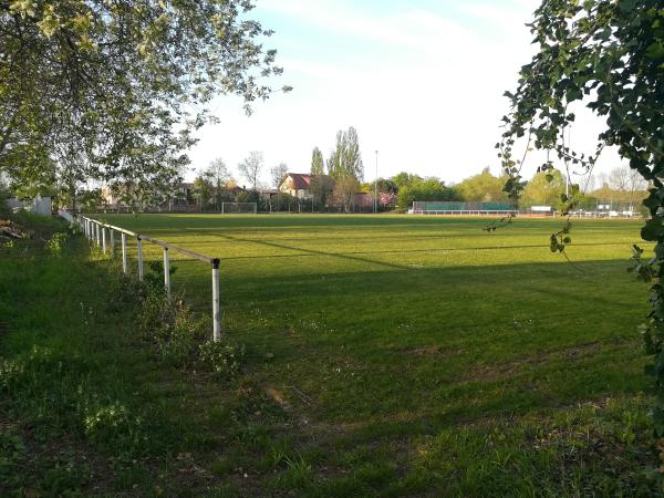 Sportplatz am Stechgraben - Forst/Weinstraße