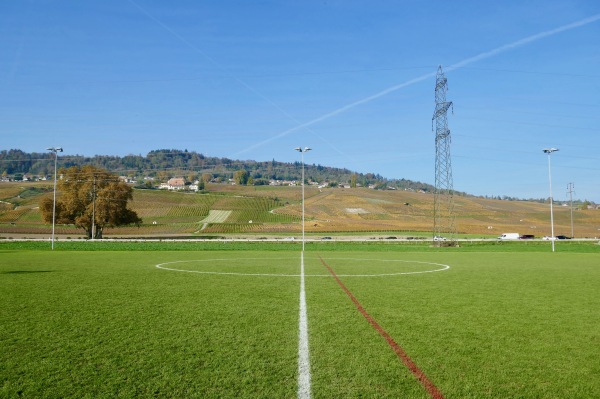 Terrain En Chanivet terrain annexe - Perroy