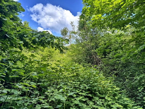 Sportplatz Auf der Tüte - Unna-Massen