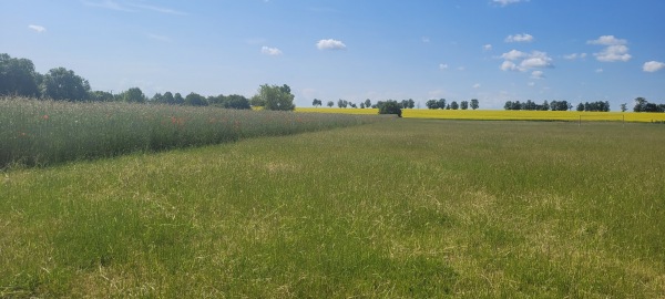 Sportplatz Mittelsömmern - Mittelsömmern
