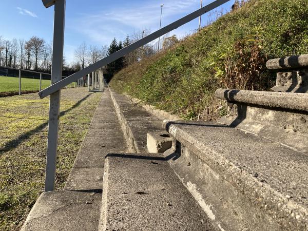 Sportanlage Palmengasse - Friesenheim/Baden-Oberweier