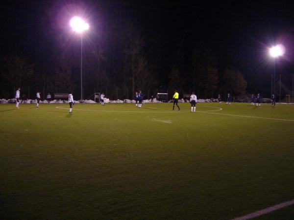 Raiffeisen Arena Platz 2 - Pasching