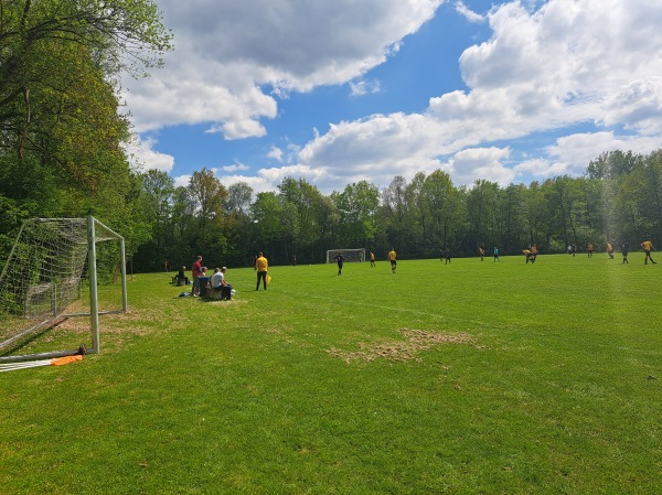 Sportveld De Fielliettaz Goethart veld 4 - Tynaarlo-Vries