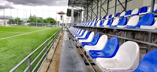 Stadioni Erosi Manjgaladze veli 2 - Samtredia