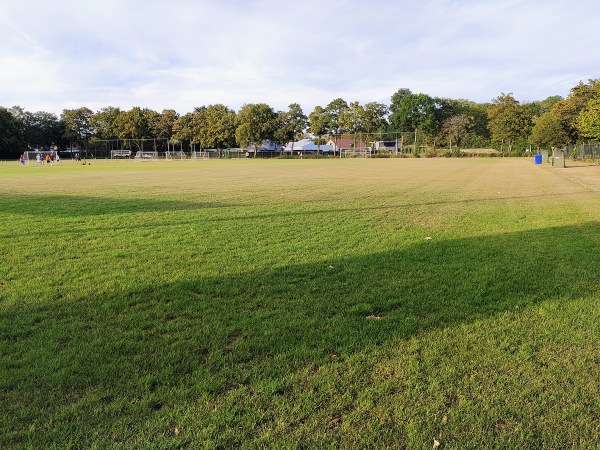Zuidersportpark veld 3 - Terneuzen