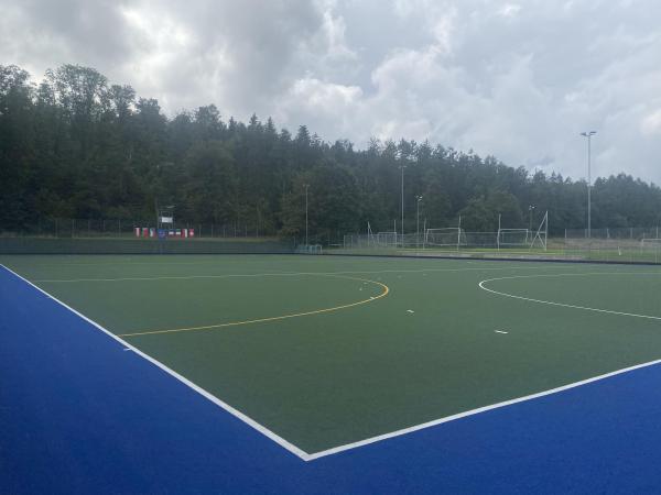 Sportanlage Buchlern Platz 7 - Zürich