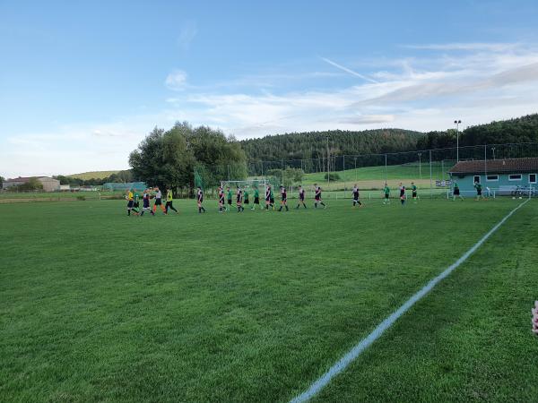 Sportplatz an der Roda - Zöllnitz