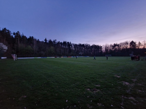 Sportanlage am Wolfsteinpark - Neumarkt/Oberpfalz-Wolfstein